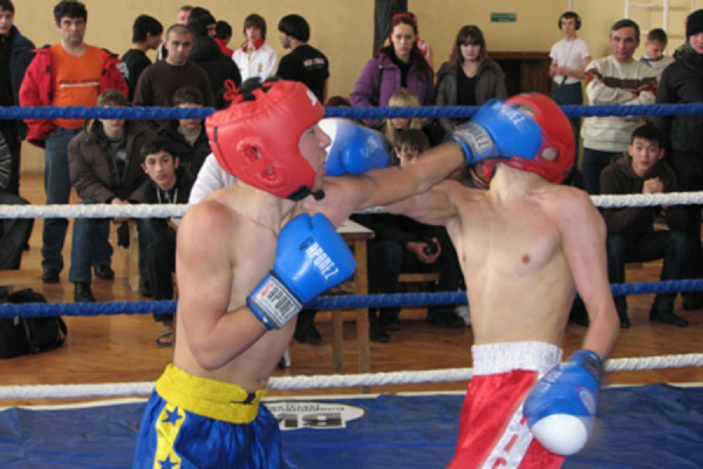 Трое тагильчан привезли с чемпионата Европы по кикбоксингу золотые медали - Фото 1