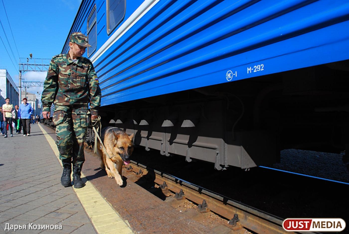 Нетрезвые злоумышленники обстреляли из пневматического пистолета электричку - Фото 1