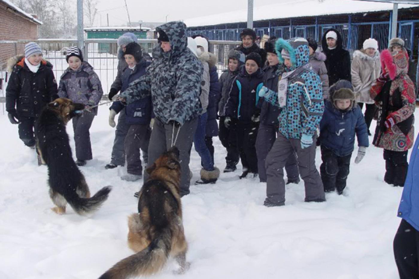 Четвероногие помощники полицейских показали школьникам свое мастерство - Фото 1
