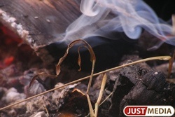 В пяти муниципальных образованиях Свердловской области введен режим чрезвычайной ситуации - Фото 1