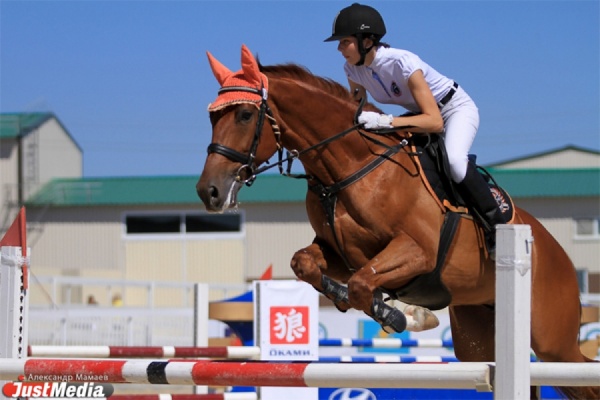 Областной кубок губернатора по конкуру в следующем году станет «трехзвездным» - Фото 1