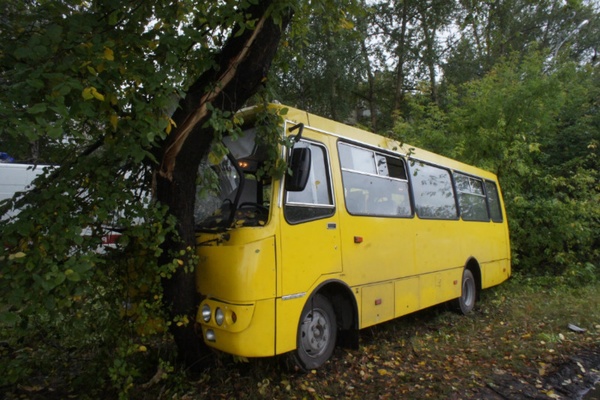 В Екатеринбурге автобус врезался в дерево. Пострадало шесть человек - Фото 1
