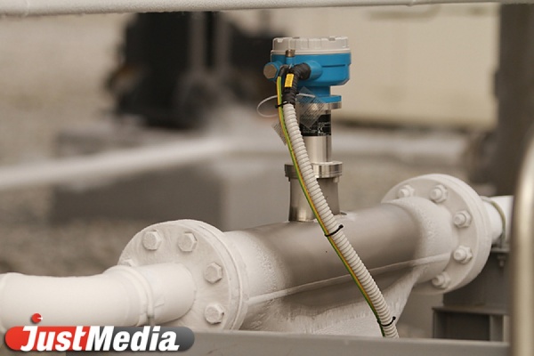 Голодовка в Верхней Синячихе: директор к рабочим не выйдет – у него выходной - Фото 1