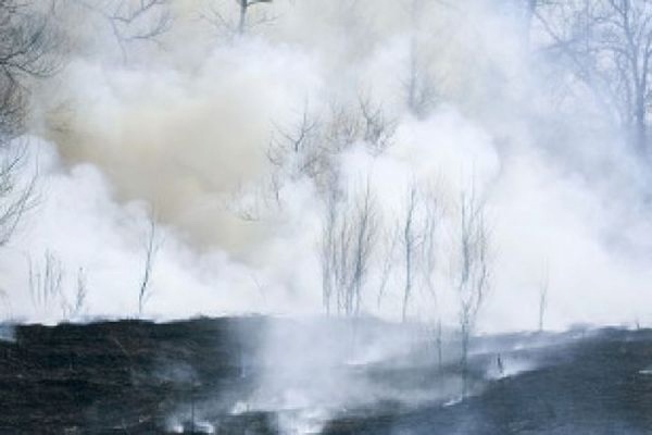 На Камчатке дожди помогли потушить природные пожары - Фото 1