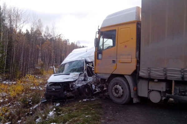 На трассе Екатеринбург—Серов в ДТП попала детская баскетбольная команда. Ранены пять человек - Фото 1