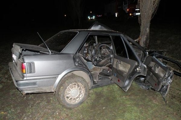 В Иркутской области Nissan врезался в дерево, погибли четыре человека - Фото 1