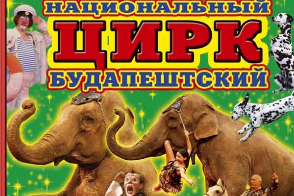 Национальный Будапештский цирк представит свою программу в Екатеринбурге - Фото 1