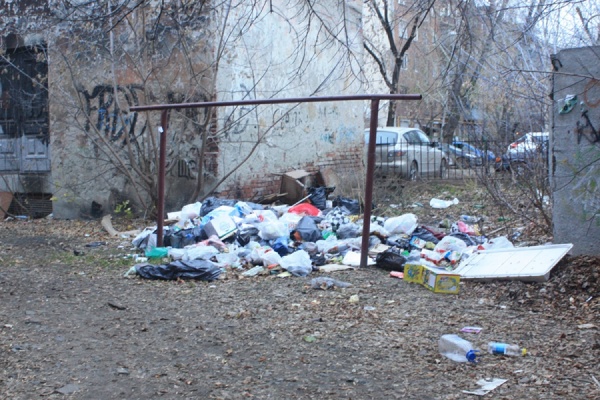 Крысы и бездомные собаки облюбовали помойку в самом центре Екатеринбурга - Фото 1