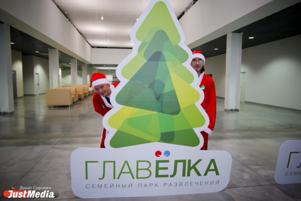 И вот она, нарядная! Огромная живая елка приедет из серовских лесов на екатеринбургскую «ГлавЁлку» - Фото 1