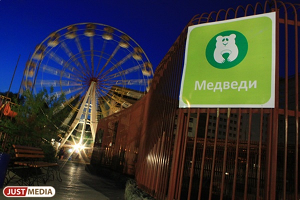 Сладких снов! Уральские медведи начали впадать в спячку - Фото 1