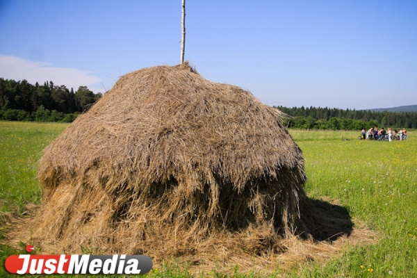 Уральским сельхозпроизводителям помогают приобретать трактора и комбайны - Фото 1