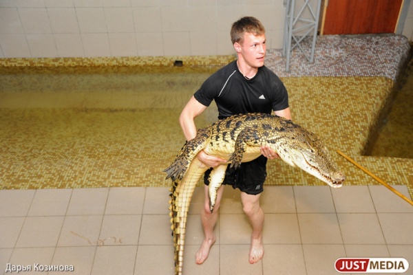 В Екатеринбурге самка нильского крокодила Белла принесла потомство - Фото 1