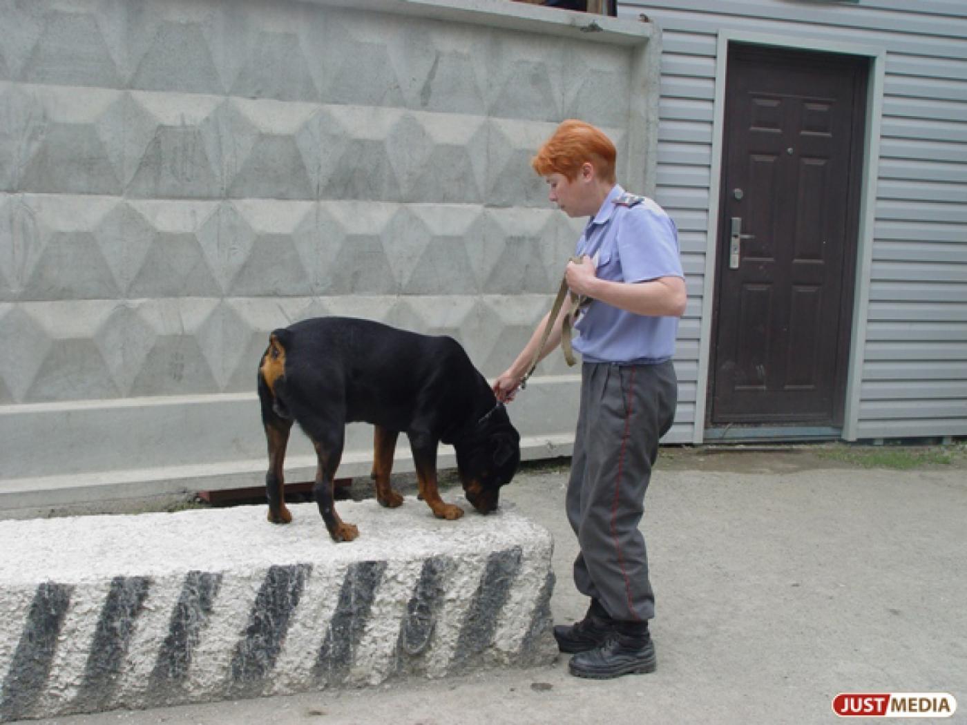 Сотрудники полиции выявили трех малолетних лжетеррористов - Фото 1