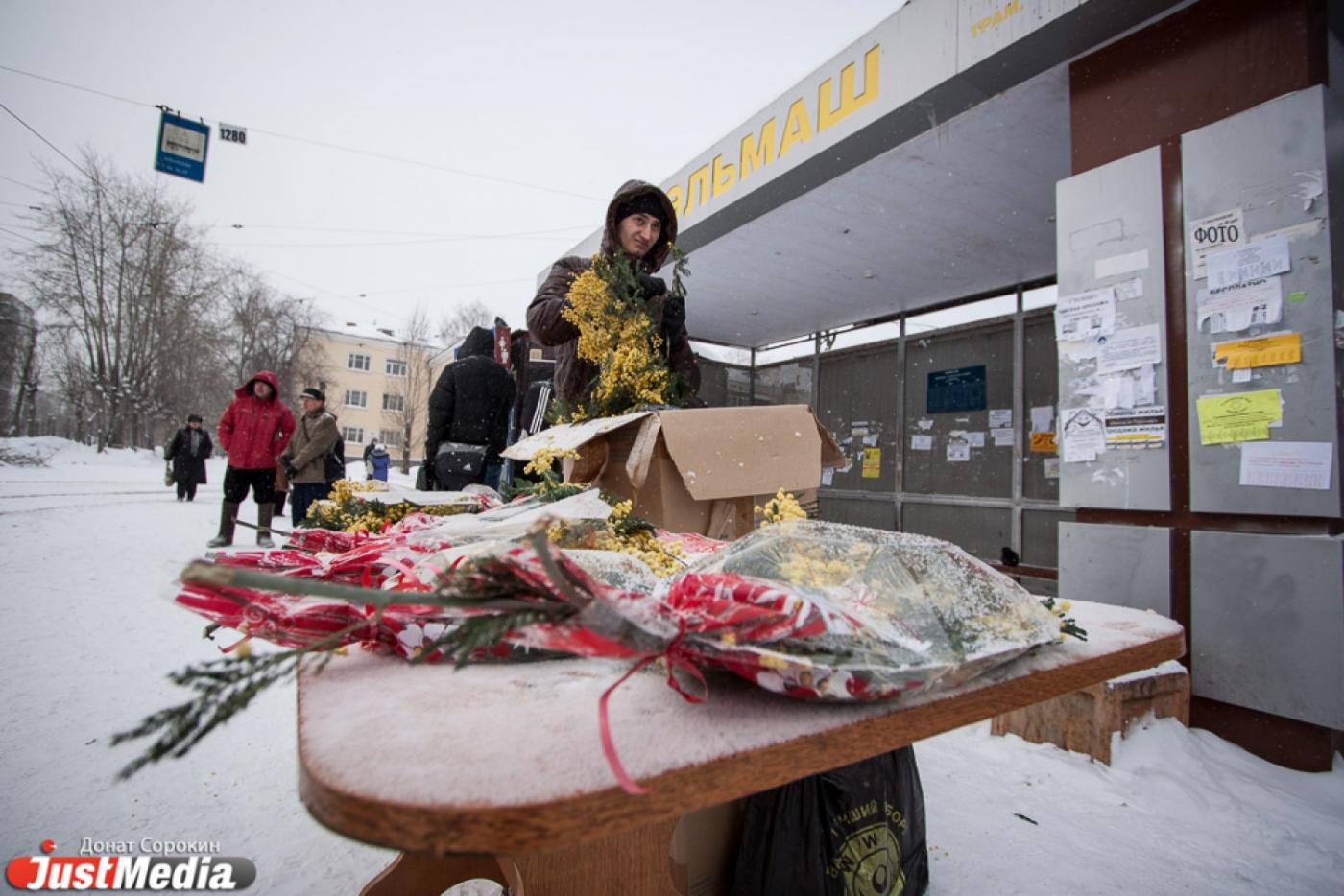 Накануне праздника в Екатеринбург привезли мимозу - Фото 1