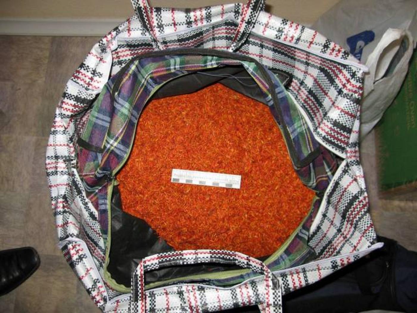 Осведомлен — значит, предупрежден! Иностранным гражданам внятно объяснят, чем грозит перевозка наркотиков - Фото 1