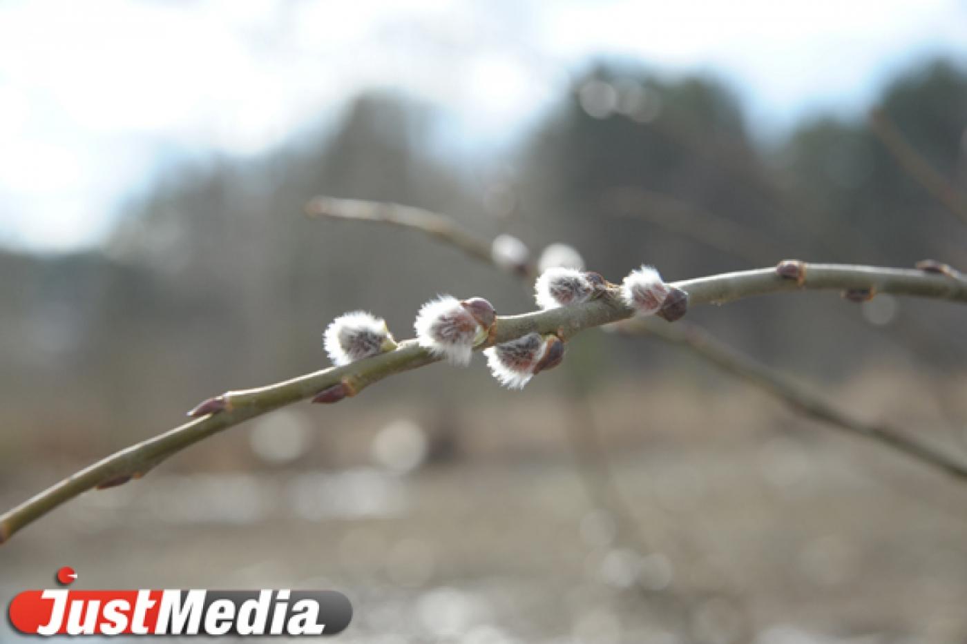 Потепление придет на Средний Урал только через полторы недели - Фото 1