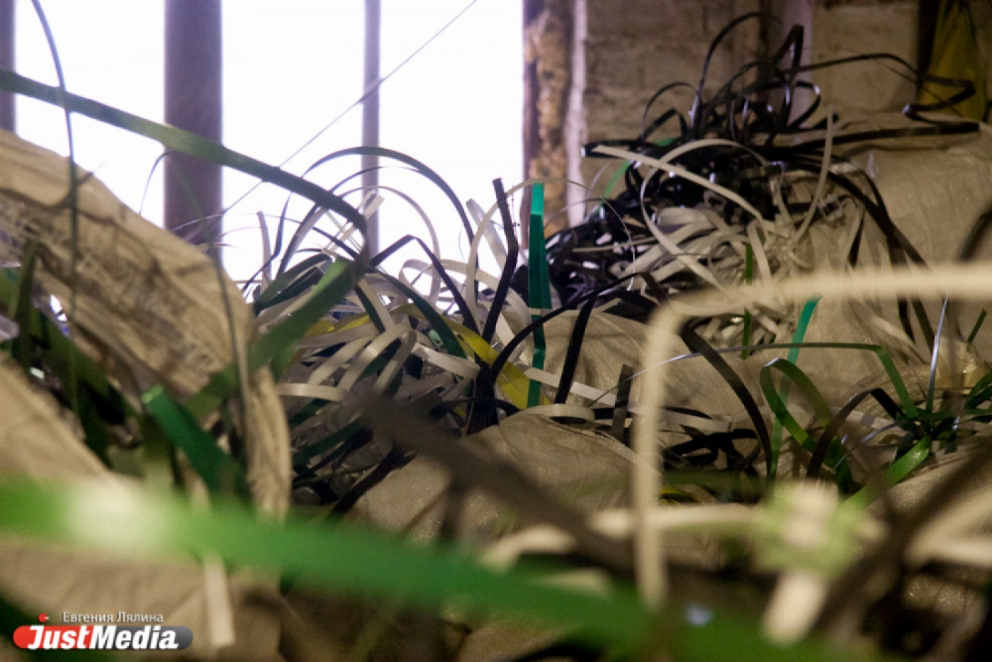 В Академическом появится первая автомобильная экостоянка из пластиковых отходов - Фото 1