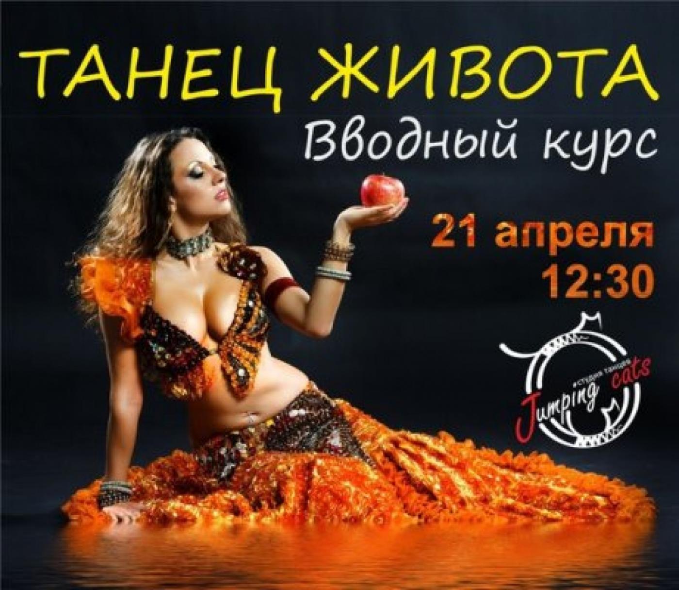 Погружение в мир восточного танца вместе со студией танца  Jumping Cats  - Фото 1