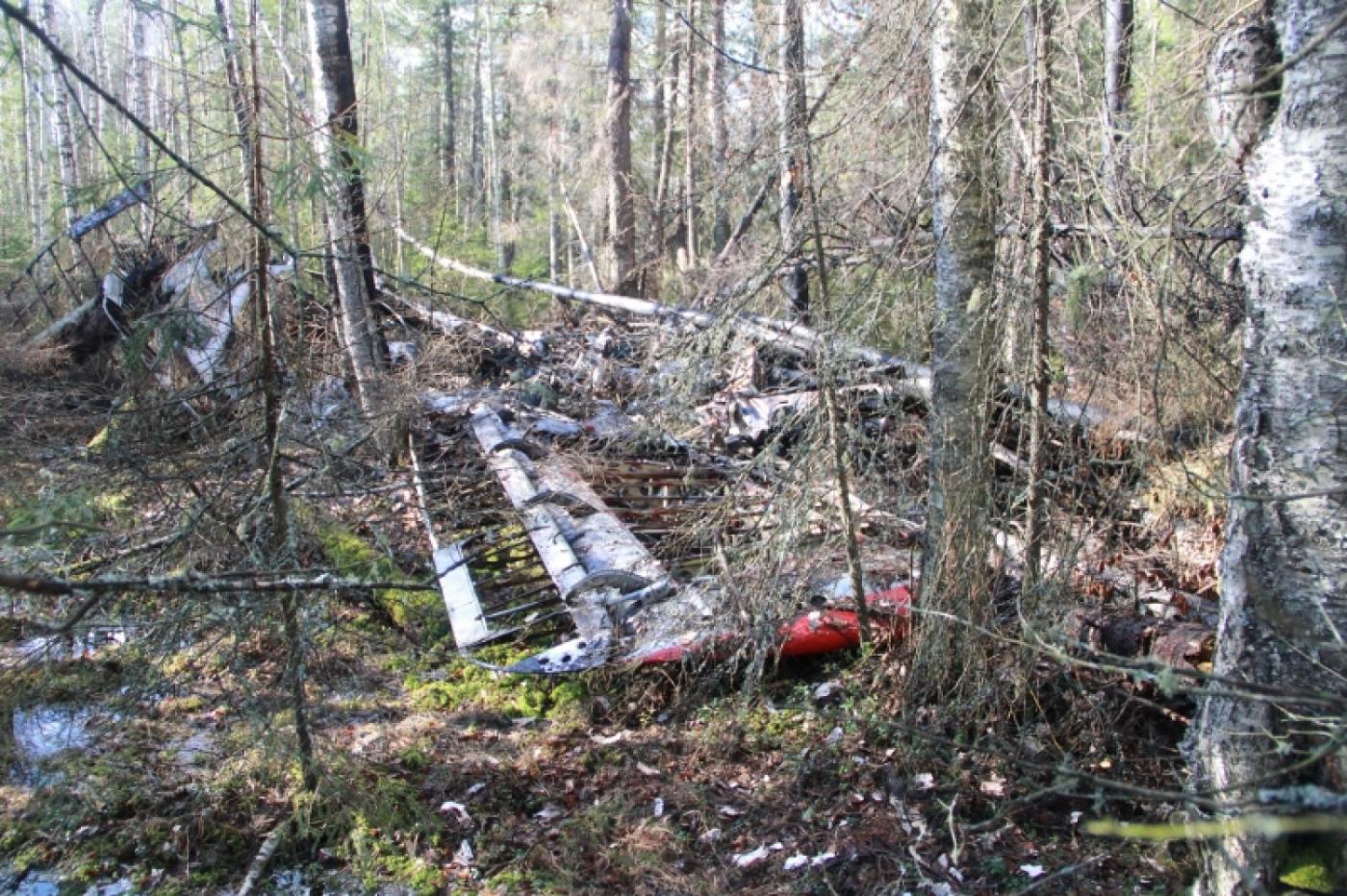 В упавшем «кукурузнике» обнаружены останки не менее десяти человек - Фото 1