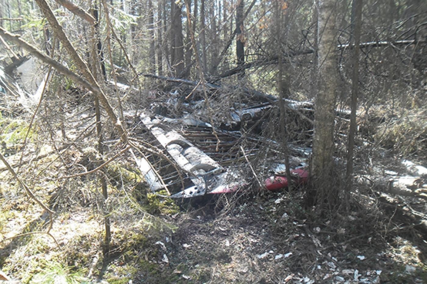 Родственникам погибших при крушении Ан-2 выплатят по миллиону рублей - Фото 1