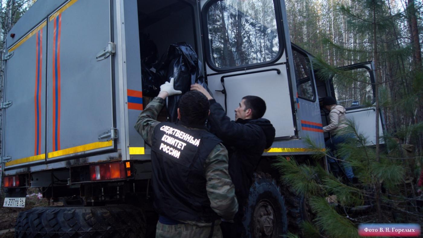 «Черный ящик» на Ан-2 отсутствовал. На месте крушения самолета продолжается сбор вещественных доказательств - Фото 1