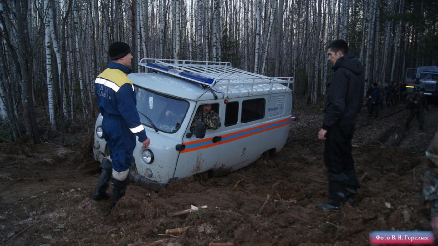 В лесах под Серовом прорубают дорогу для вывоза обломков Ан-2 - Фото 1