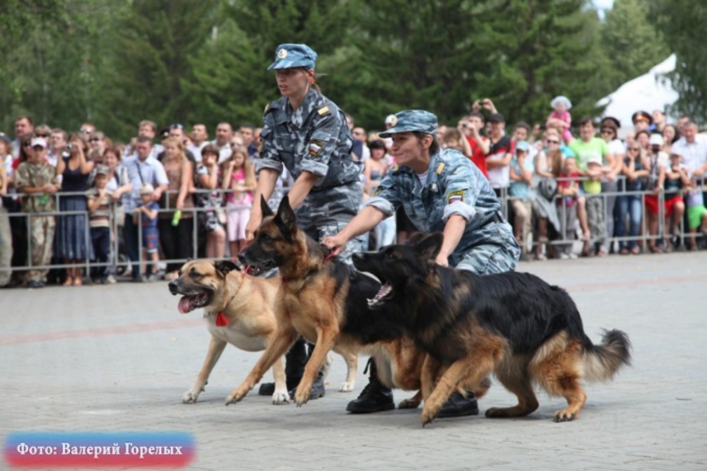 Парк Маяковского в субботу займут силовики - Фото 1