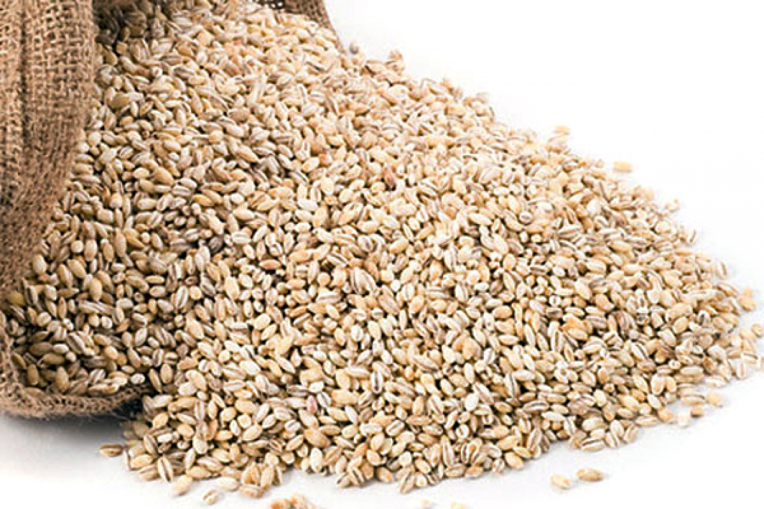 Качество и безопасность зерна. Безопасность зерна. Рис это мучной продукт.