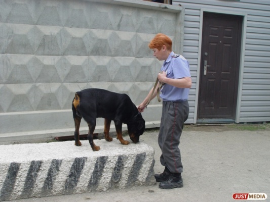 Сотрудники полиции выявили трех малолетних лжетеррористов - Фото 1