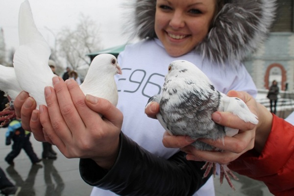 Полсотни почтовых голубей призвали весну в уральскую столицу - Фото 1
