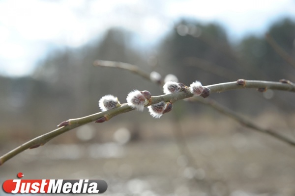 Потепление придет на Средний Урал только через полторы недели - Фото 1