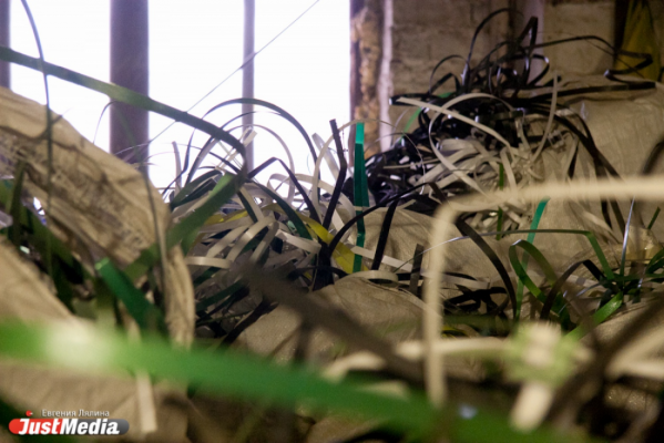 В Академическом появится первая автомобильная экостоянка из пластиковых отходов - Фото 1