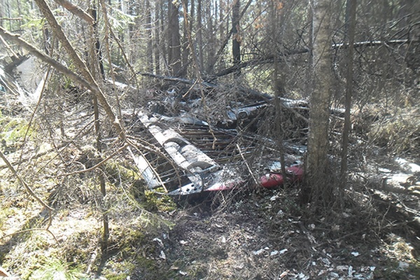 Родственникам погибших при крушении Ан-2 выплатят по миллиону рублей - Фото 1