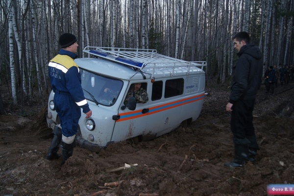 В лесах под Серовом прорубают дорогу для вывоза обломков Ан-2 - Фото 1