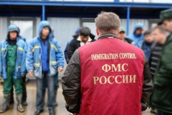 Депутаты Госдумы намерены разработать Миграционный кодекс - Фото 1