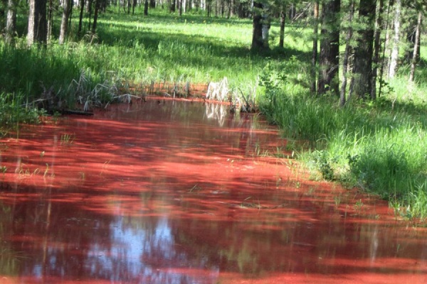 Озеро под Екатеринбургом стало красным после покраски радиовышки - Фото 1