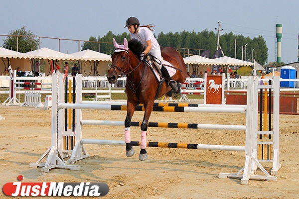 Свердловские всадники намерены занять первые места на чемпионате УрФО по конкуру - Фото 1