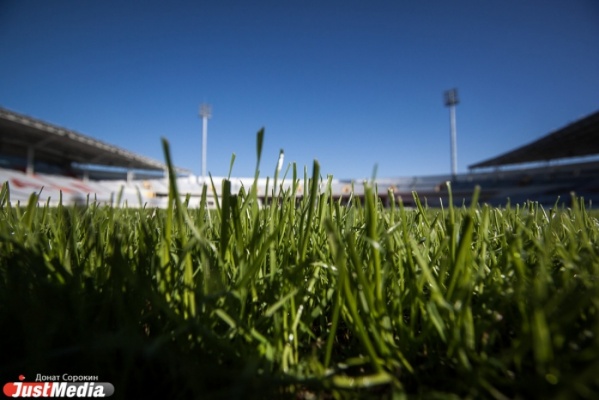 Центральный стадион готовится к матчам Премьер-лиги: на газоне стригут траву, на трибунах чистят кресла - Фото 1