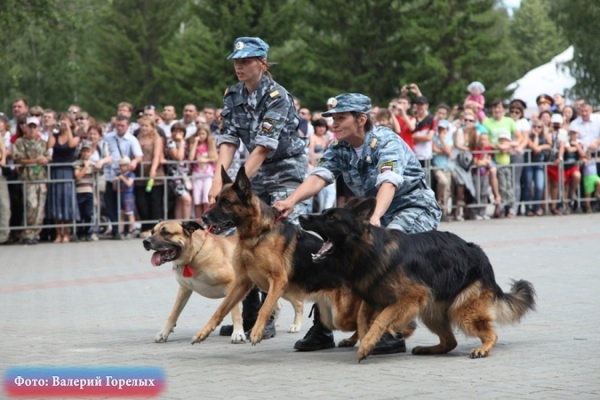Парк Маяковского в субботу займут силовики - Фото 1