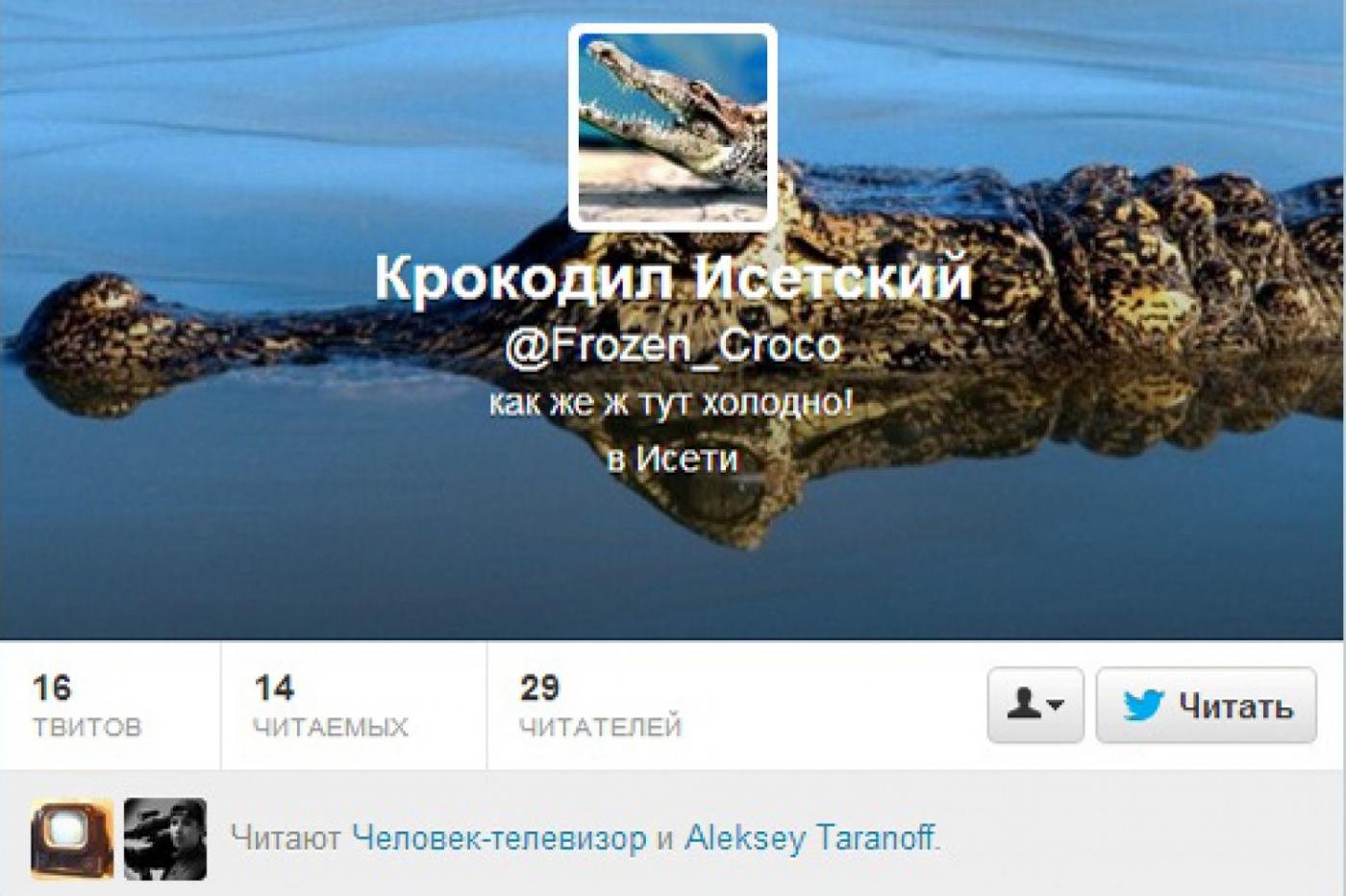 «Как же тут холодно!». У сбежавшего в Екатеринбурге крокодила появился твиттер - Фото 1