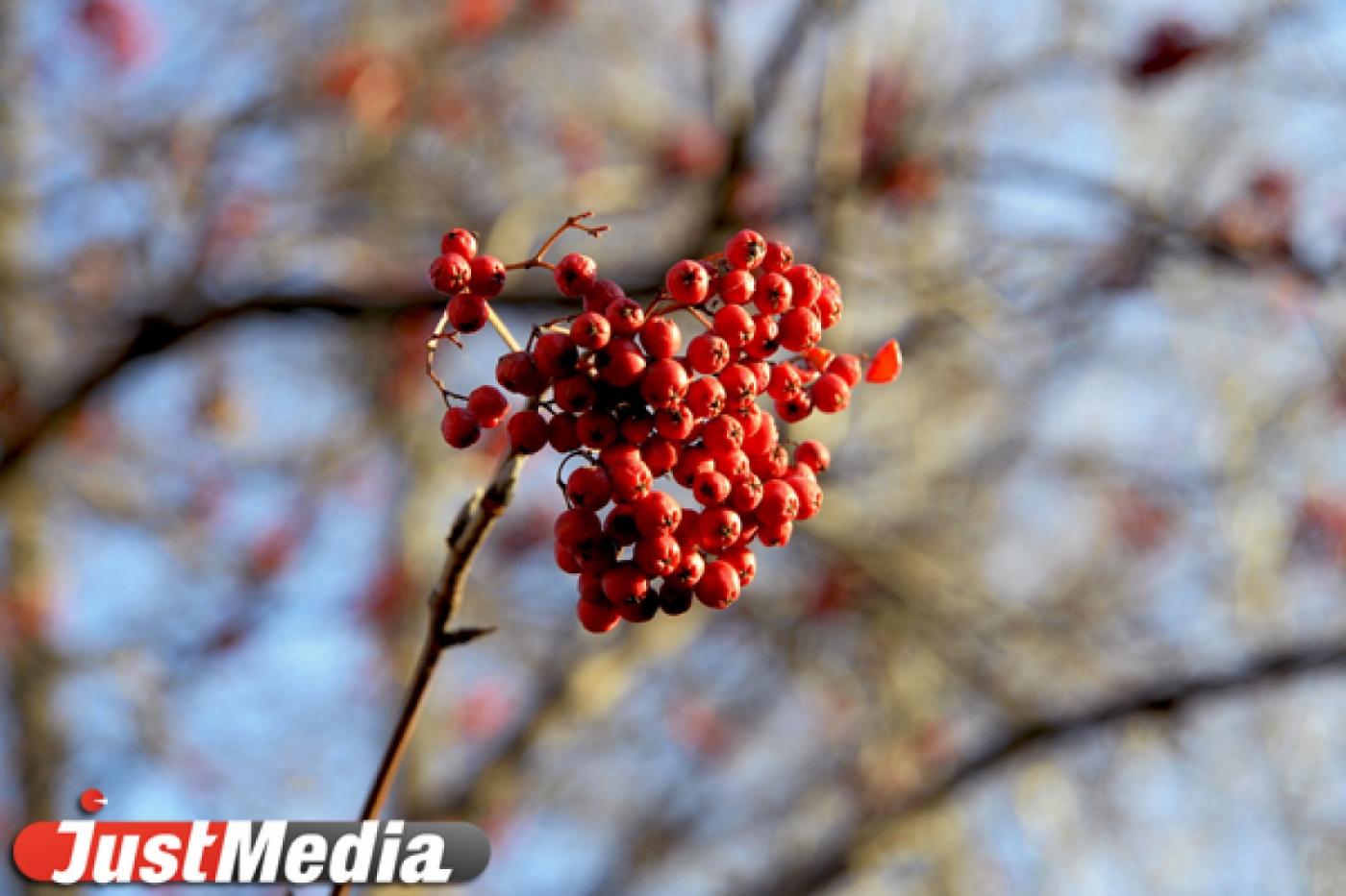 В Екатеринбурге сделают коньяк со вкусом Верх-Исетского района - Фото 1