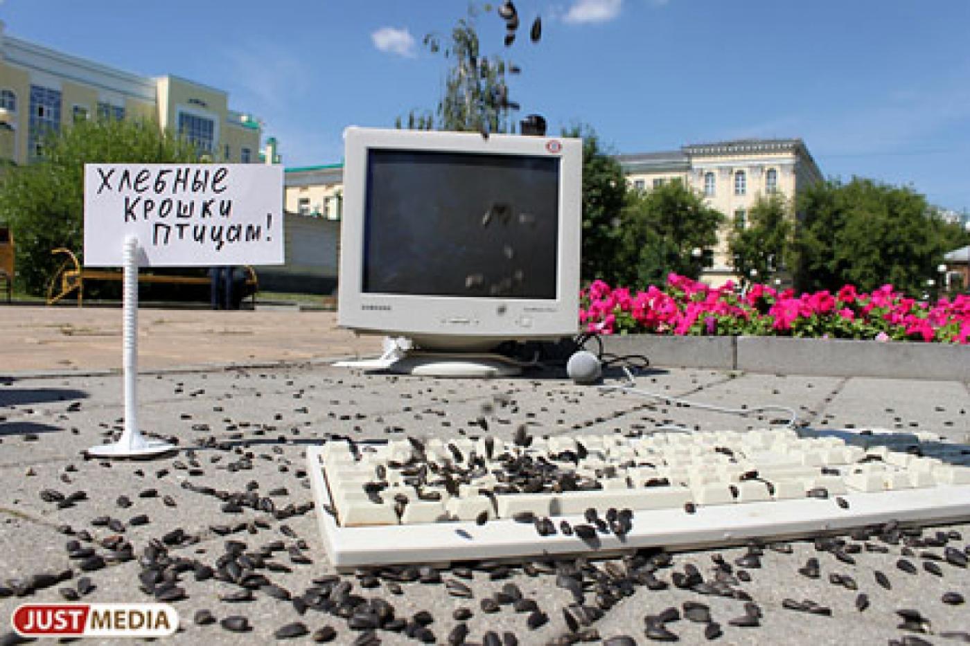 Свердловчан призывают понаблюдать за птицами - Фото 1