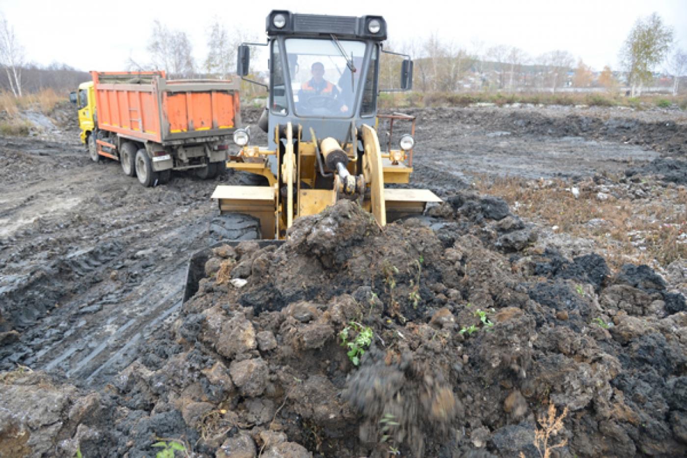 В Екатеринбурге на экспериментальных удобрениях уже два года растут рожь, тритикале и кукуруза - Фото 1