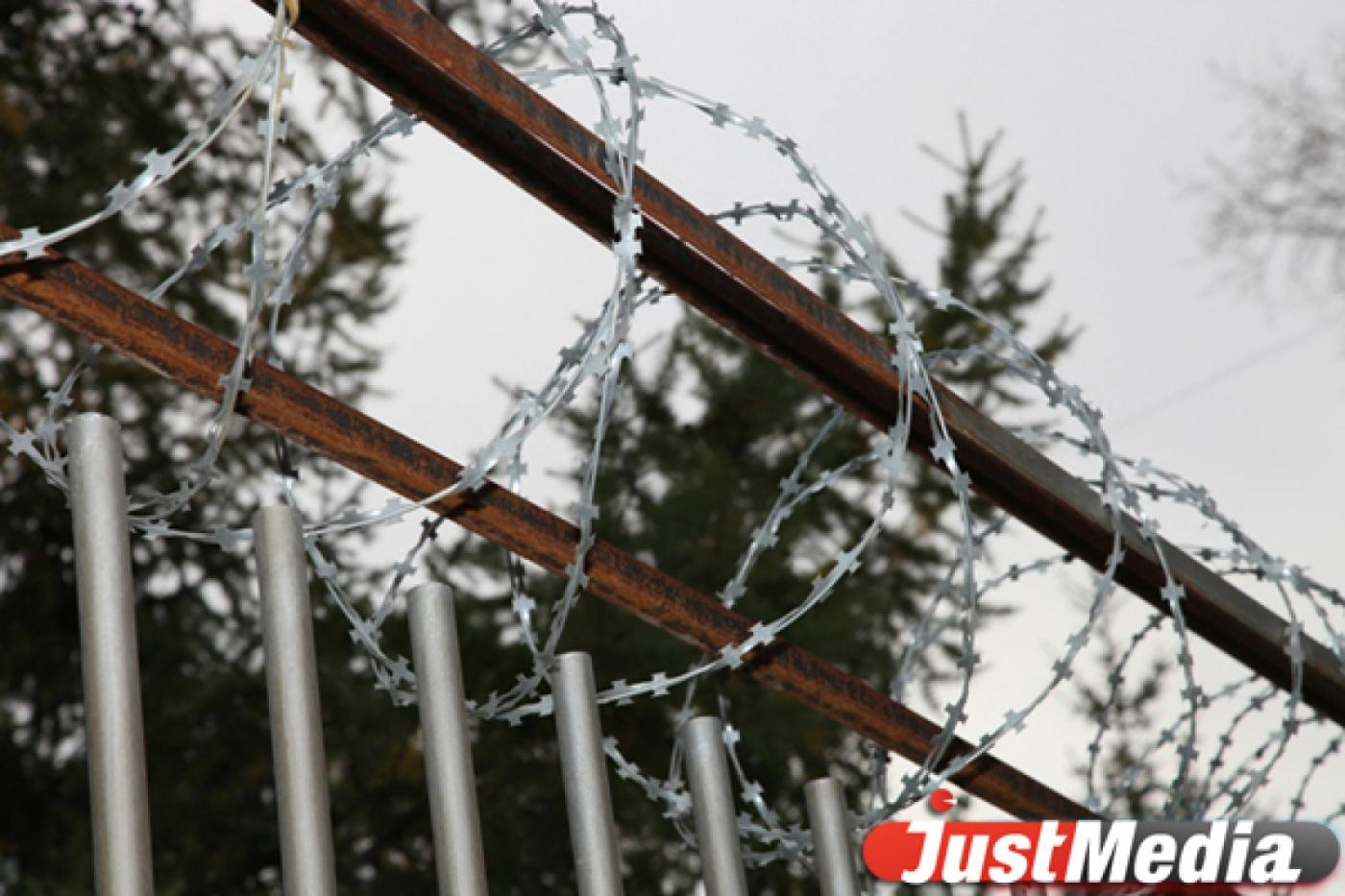 В тайге возле Тавды обнаружены тела двух человек с огнестрельными ранениями - Фото 1
