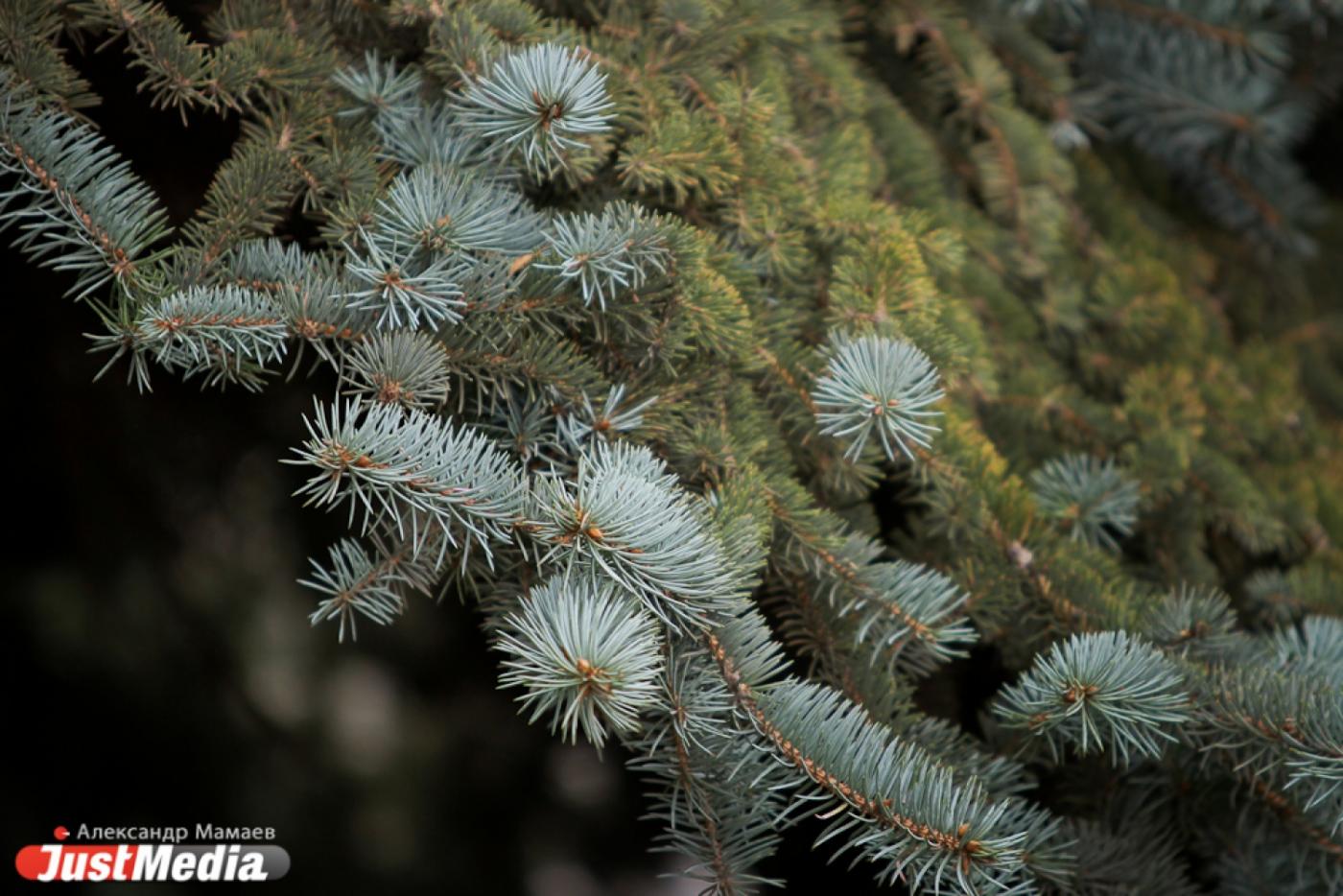 Областная комиссия будет следить за границами особо охраняемых территорий - Фото 1