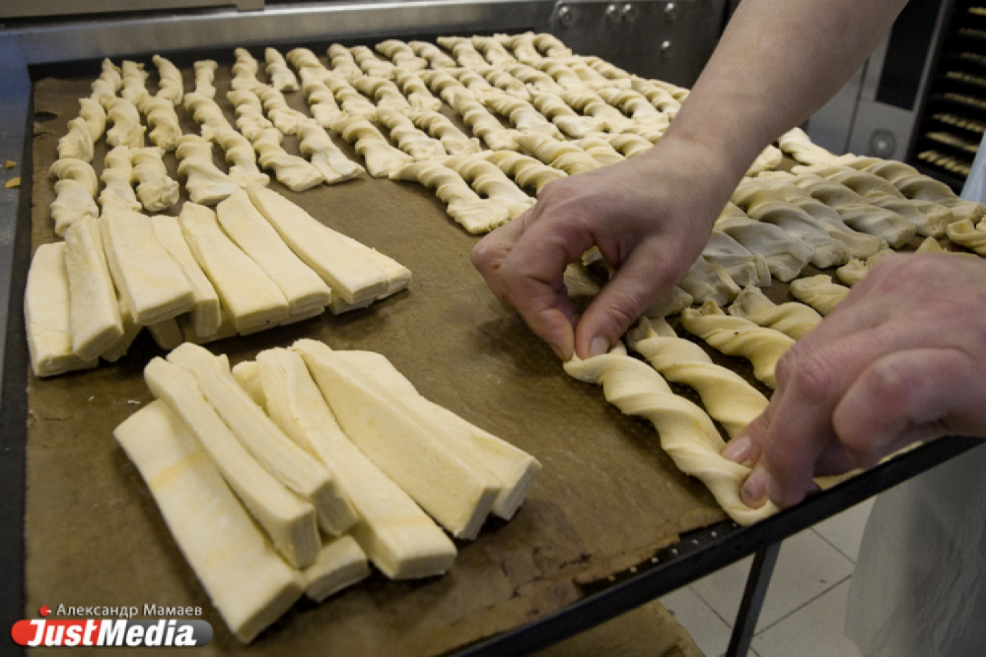 Специалиста Роспотребнадзора обнаружили в помещениях Березовского хлебокомбината мышей и птиц  - Фото 1