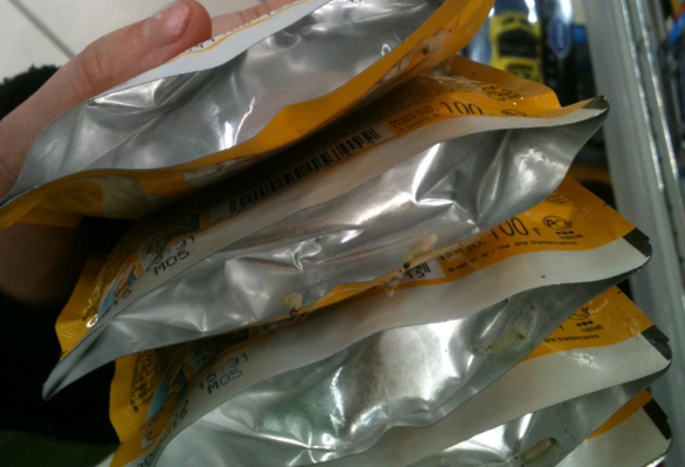 В «Перекрестке» екатеринбурженка обнаружила в коробке с кормом для собак личинок - Фото 1