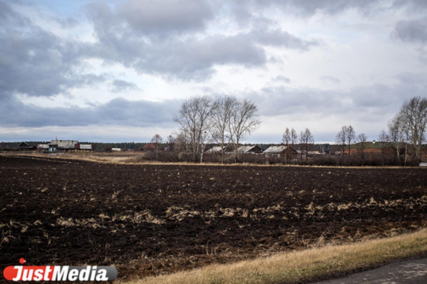 Эффективная работа земельного комитета пополнила городскую казну на 5,1 миллиарда рублей - Фото 1