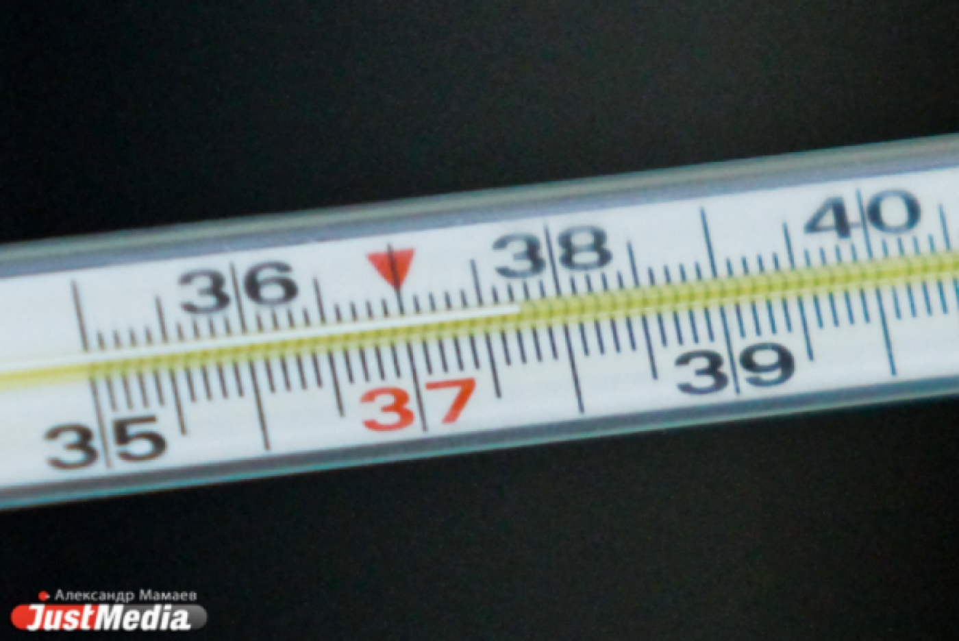 В Свердловской области пока нет эпидемии гриппа и ОРВИ - Фото 1