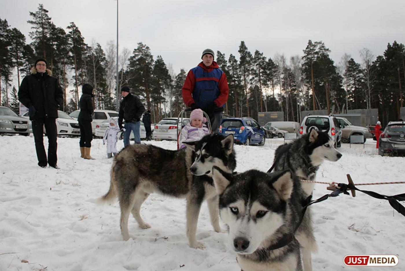 Зимние туристические маршруты готовы принять свердловчан - Фото 1